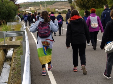 Fotos de la Marcha Aspace 2018 en Logroño (La Rioja)